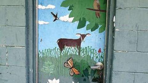 Crooks '15 - Darnley-Mill-Crooks-Hollow145.jpg