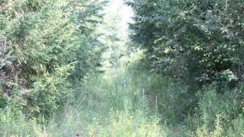 Frederick Quantz Farmstead photo 5