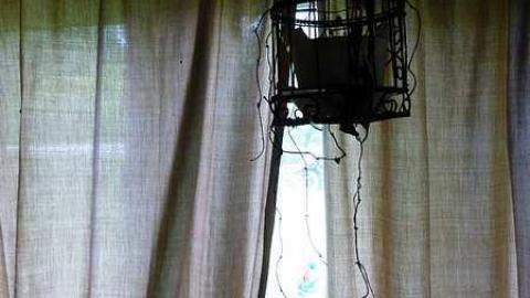 Horsey Folks - q-P1030803.jpg