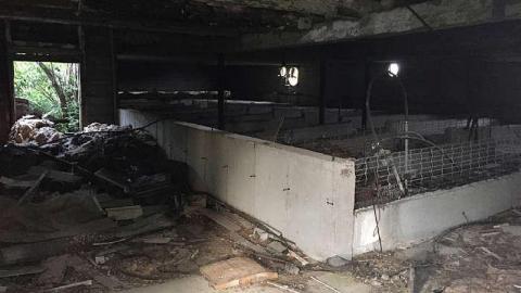 Abandoned Barn and House - e-IMG_2104.jpg