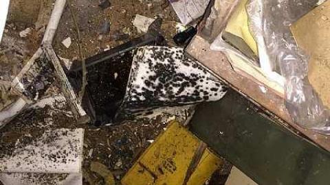 Decaying House cover photo