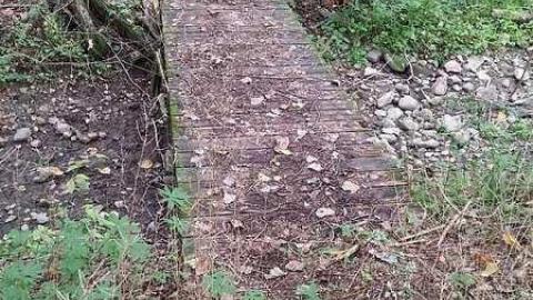 Sep 12 2015 - Camp-Tillingwood27.jpg