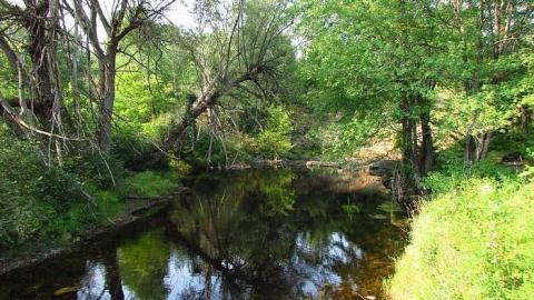 Old Building - Old-Mill-in-Maberly3.jpg
