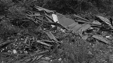 Edgar - CFB-Edgar362.jpg