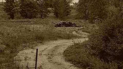 Edgar - CFB-Edgar55.jpg