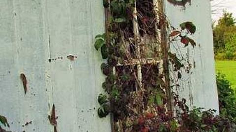 Lonely Barn in Perth photo 3