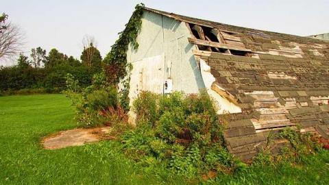 Lonely Barn in Perth photo 5