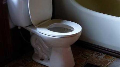 NEATO - w-P1030902.jpg