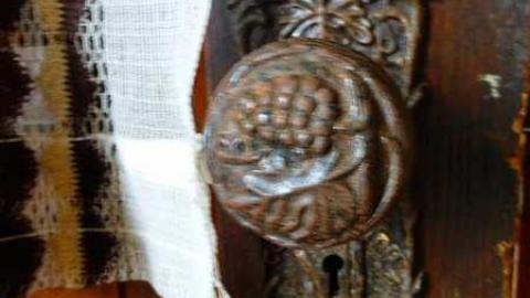 NEATO - n-P1030914.jpg