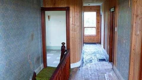 NEATO - z-P1030915.jpg