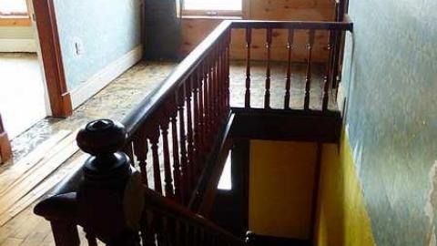 NEATO - f-P1030916.jpg