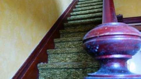 NEATO - t-P1030917.jpg