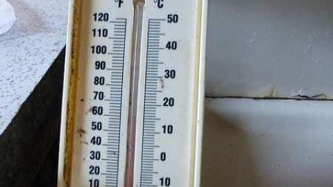 NEATO - y-P1030920.jpg