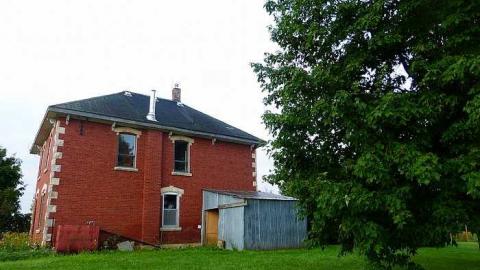 NEATO - k-P1030924.jpg