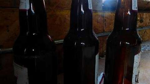 NEATO - j-P1030925.jpg