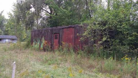 Sep 12 2015 - Camp-Tillingwood22.jpg