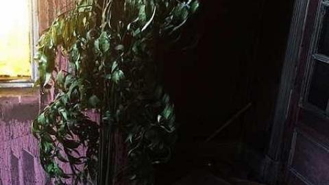 Gallery - q-11999956_10153713602434063_266828082_n.jpg