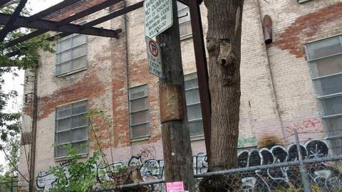 Creepy at Night - Linseed-Factory560.jpg