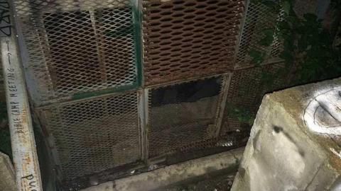 Creepy at Night - Linseed-Factory416.jpg