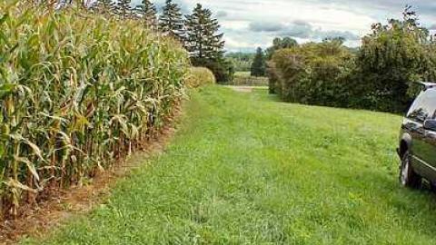 Close My Earthly Days - Campbell-Pioneer-Cemetery14.jpg