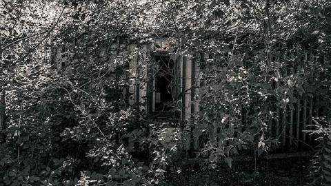 Sept 2015 - Hall-Construction21.jpg