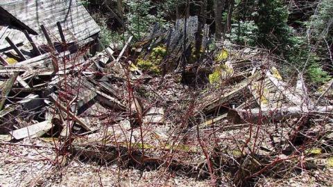 Foundations - South-River-Dam8.jpg