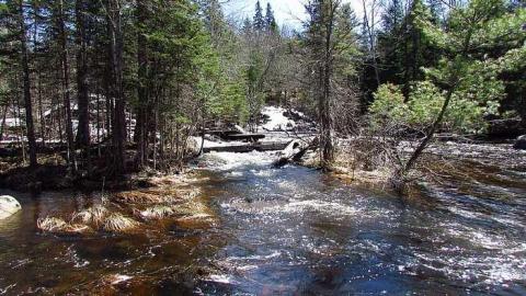 South River Dam photo 2