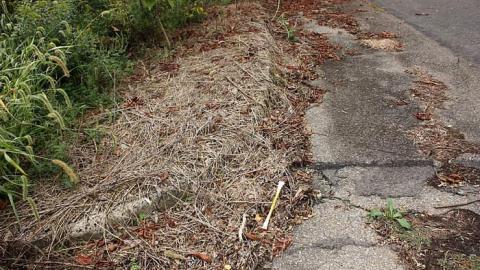 Photo from Sept 2015