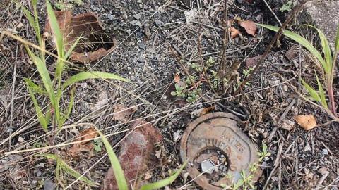 Sept 2015 - Centralia,-PA14.jpg