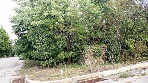 Sept 2015 - Centralia,-PA45.jpg