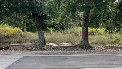 Sept 2015 - Centralia,-PA29.jpg