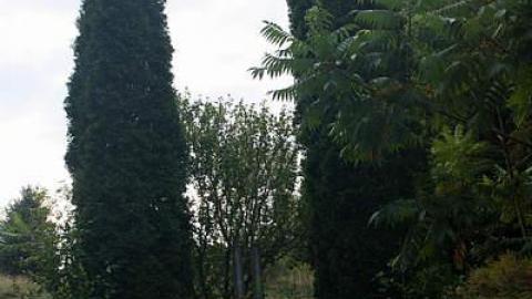 Sept 2015 - Centralia,-PA23.jpg