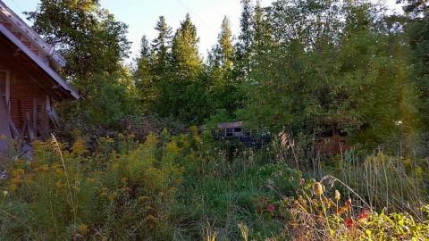 The Hoarders House - y-20150914_183233.jpg