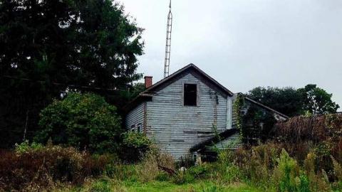 Close to Home 2015 - Close-to-Home5.jpg