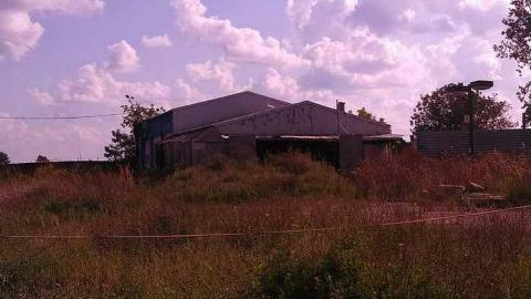 the oasis - The-Oasis11.jpg