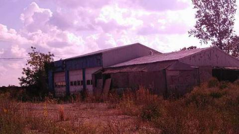 the oasis - The-Oasis15.jpg