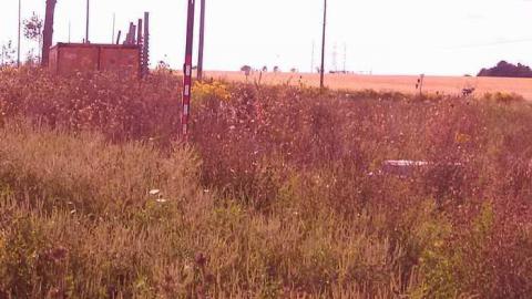 the oasis - The-Oasis12.jpg