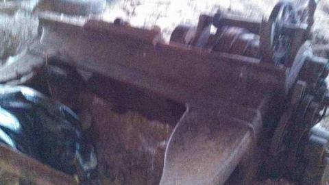 the oasis - The-Oasis18.jpg