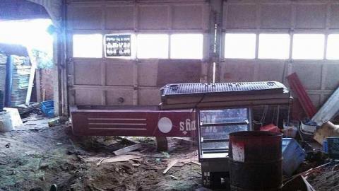 the oasis - The-Oasis6.jpg