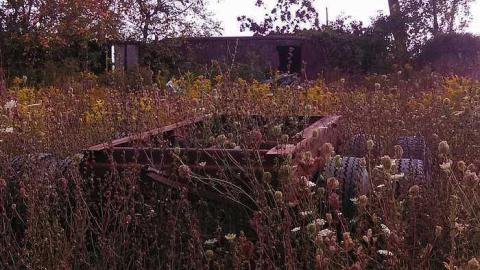 the oasis - The-Oasis1.jpg