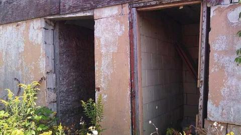 the oasis - The-Oasis2.jpg