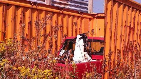 the oasis - The-Oasis8.jpg