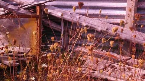 the oasis - The-Oasis9.jpg