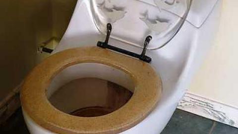 Soiled '15 - Abandoned-Grow-Op-Mansion--Drug-Dealers-Mansion--King-City302.jpg