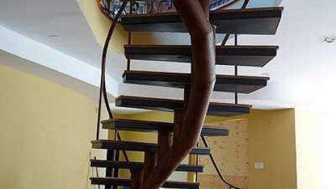 Soiled '15 - Abandoned-Grow-Op-Mansion--Drug-Dealers-Mansion--King-City320.jpg