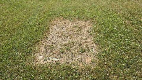 Sept 2015 - Foxton-Cemetery11.jpg