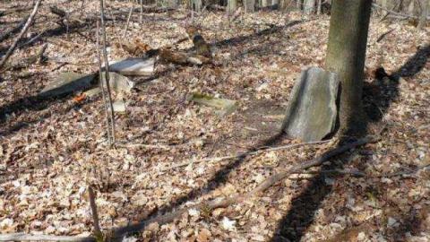 Lamoreaux Cemetery - Pickering, Ontario