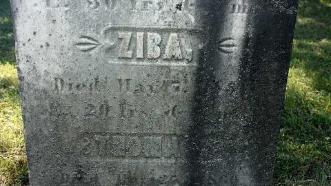 Landon Cemetery photo 4