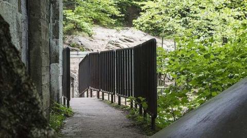 Summer trip - v-Image.jpg