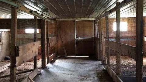 Photo from Summer 2015